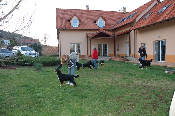 Návštěva u Dvořáků