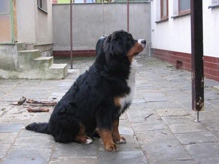 Argo z Dobročkovic