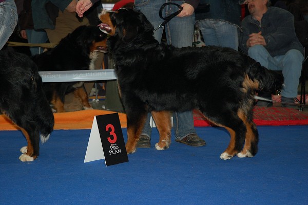 MVP Brno