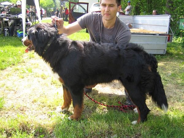 Výstava Rožnov