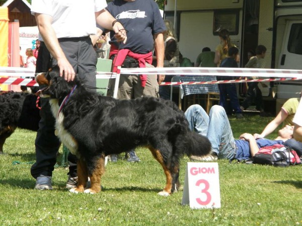 Výstava Rožnov
