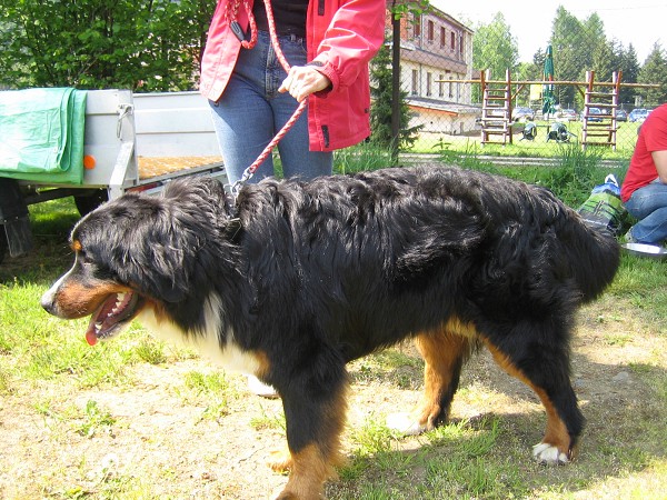 Výstava Rožnov