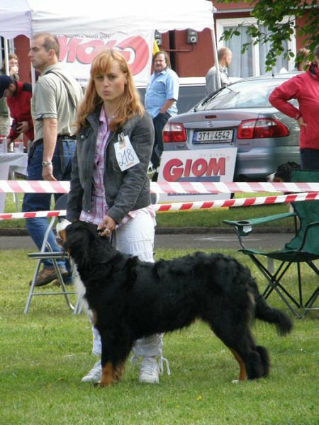 Výstava Rožnov