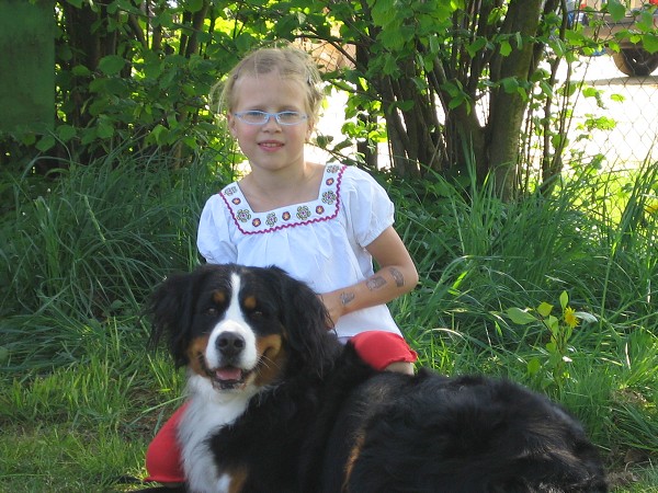 Výstava Rožnov