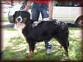 Dora z Baldoufa 