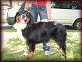 Dora z Baldoufa 1 