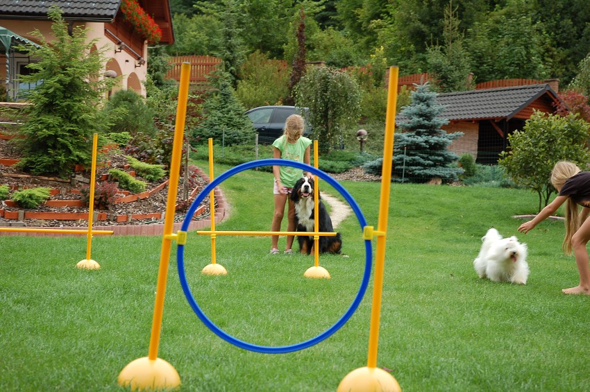 Dárek za vysvědčení