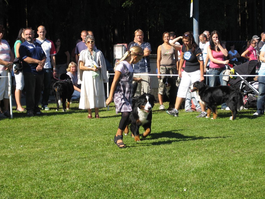 Klubová výstava podzim