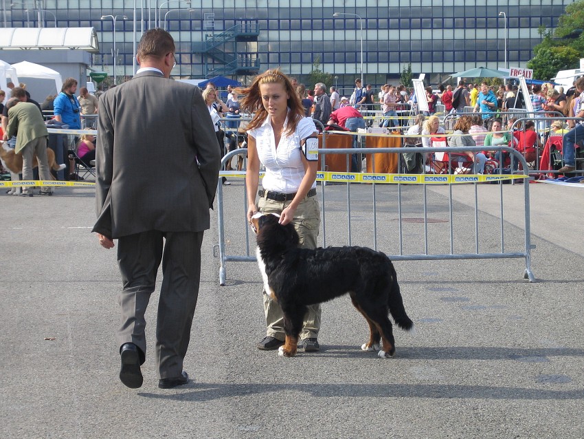 NVP Brno 2011
