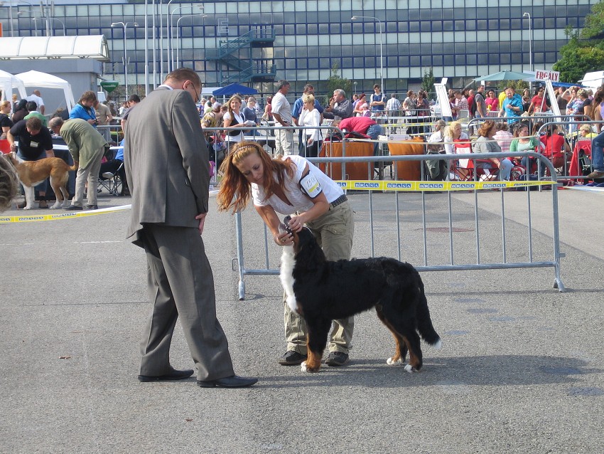 NVP Brno 2011