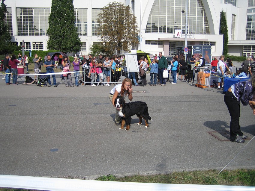 NVP Brno 2011