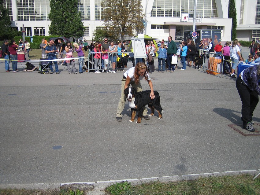 NVP Brno 2011