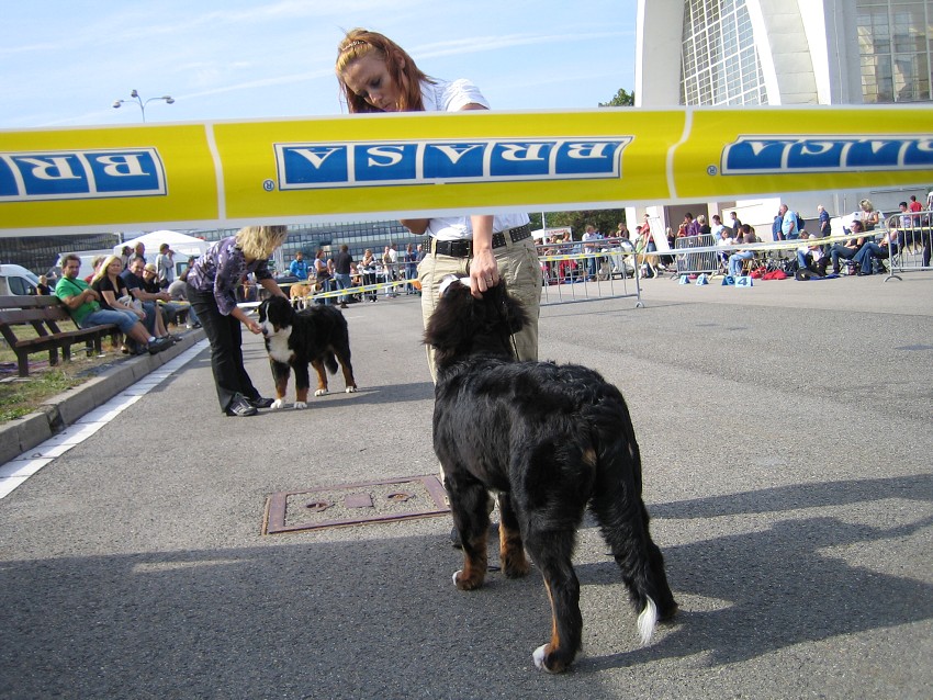 NVP Brno 2011