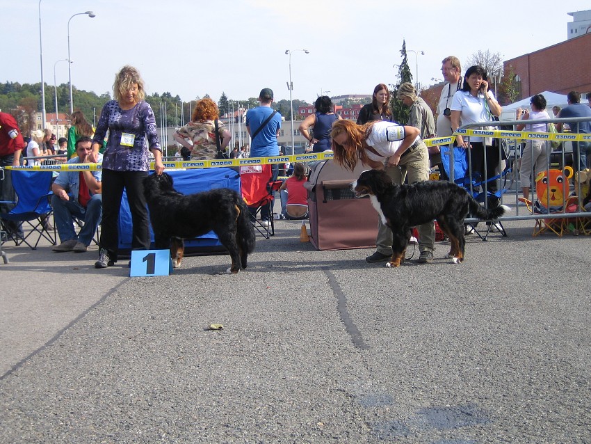 NVP Brno 2011