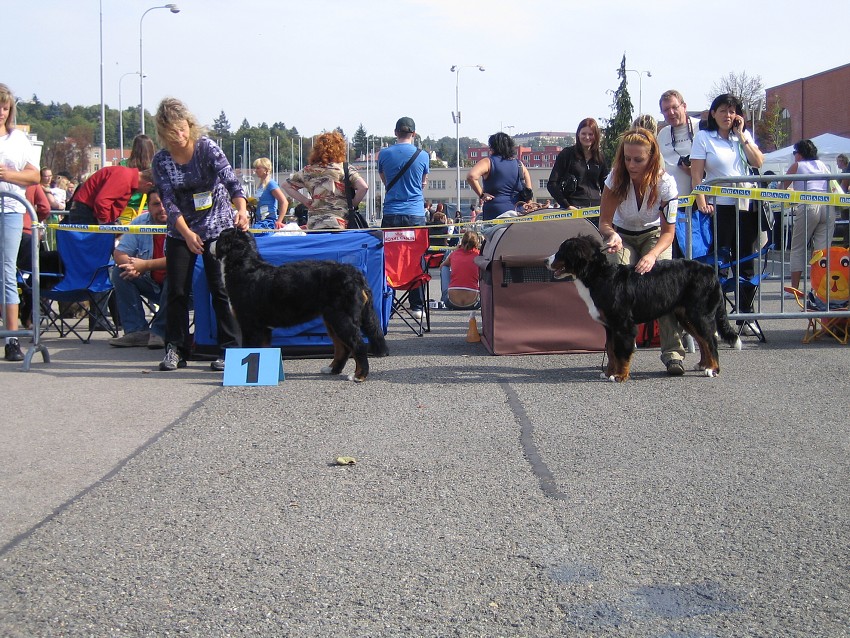 NVP Brno 2011