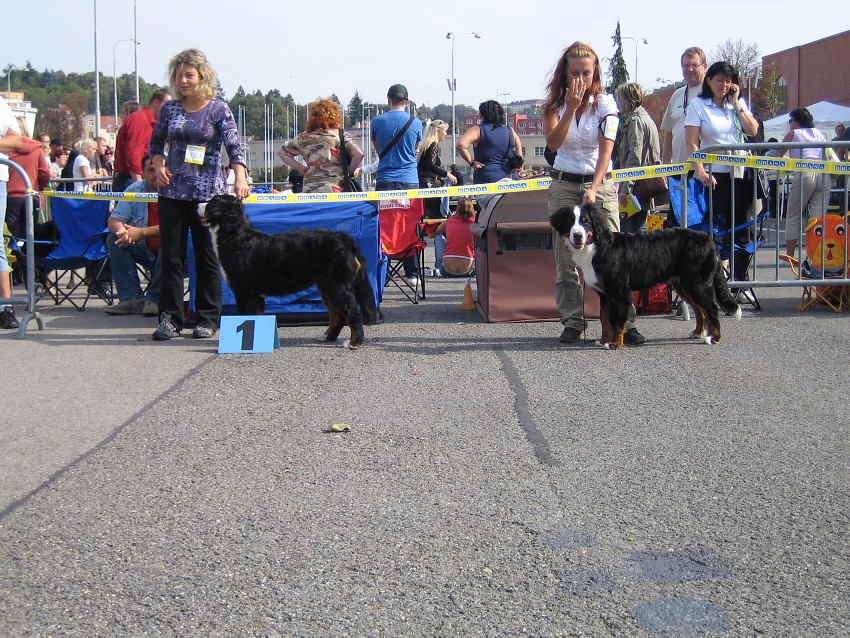 NVP Brno 2011