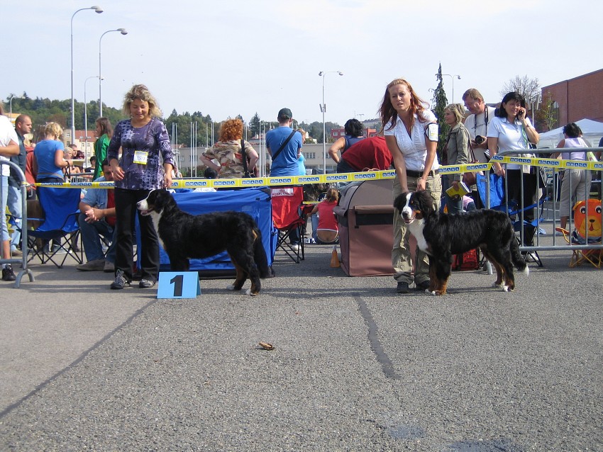 NVP Brno 2011
