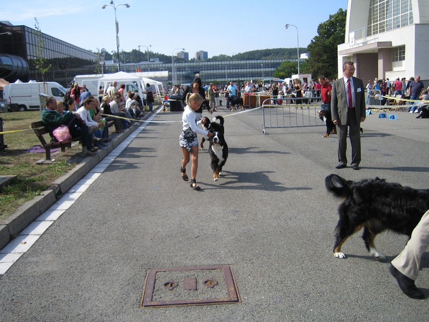 NVP Brno 2011