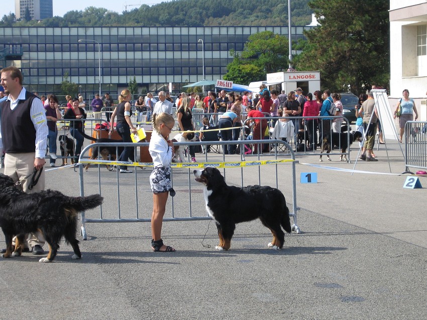 NVP Brno 2011