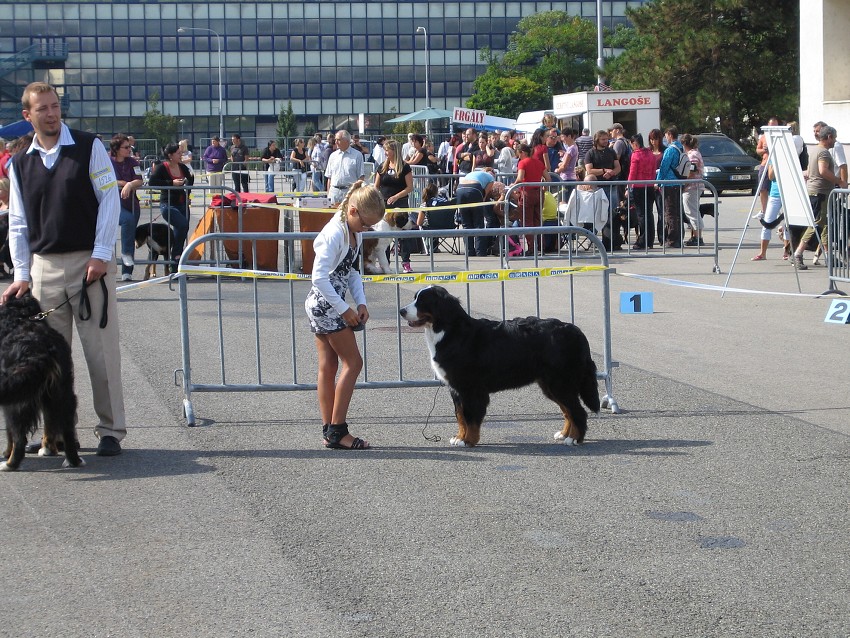 NVP Brno 2011