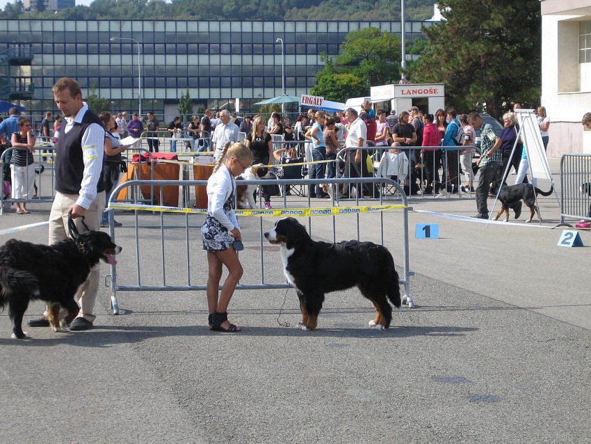 NVP Brno 2011