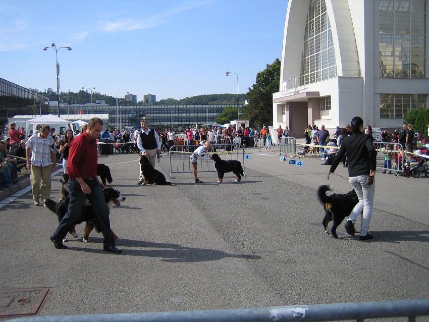 NVP Brno 2011