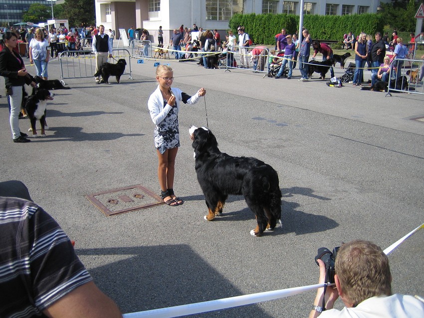 NVP Brno 2011