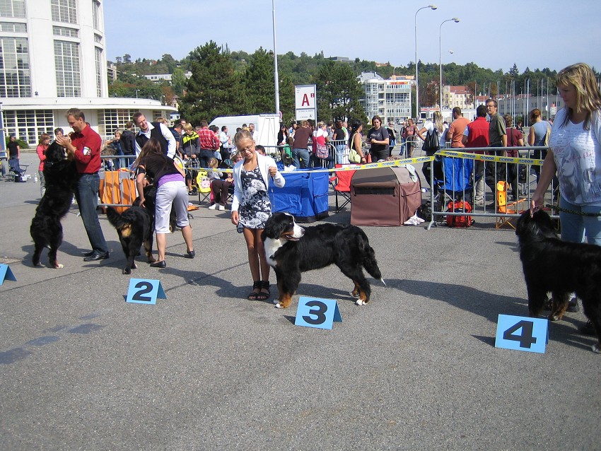 NVP Brno 2011