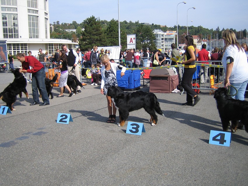 NVP Brno 2011