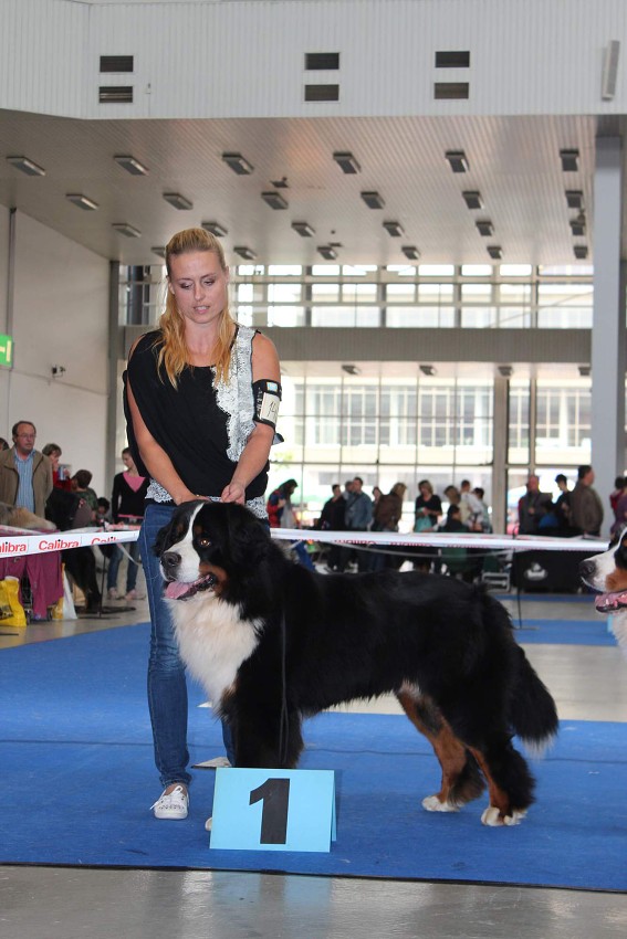CACIB BRNO