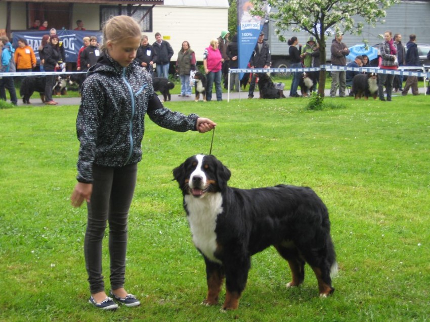 Speciální výstava Rožnov