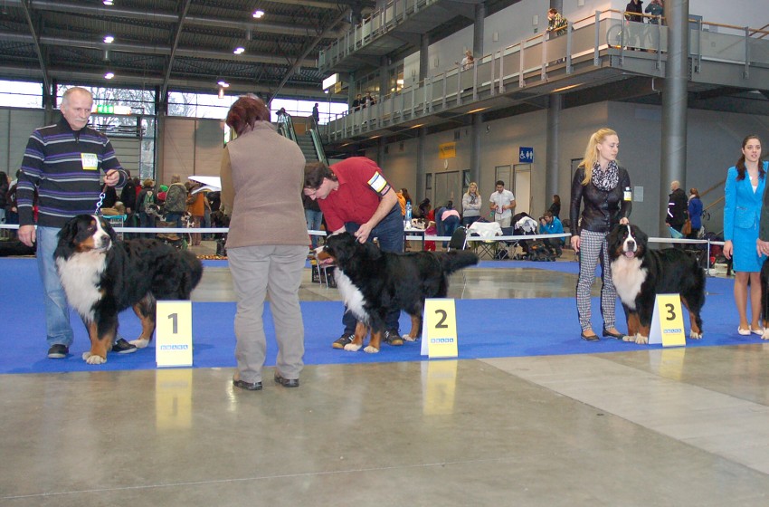 NVP Brno