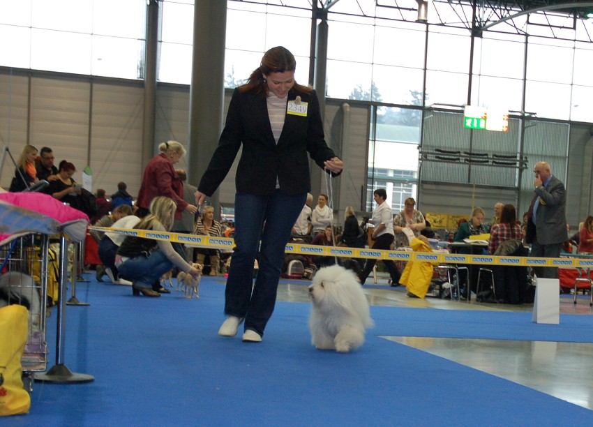 NVP Brno