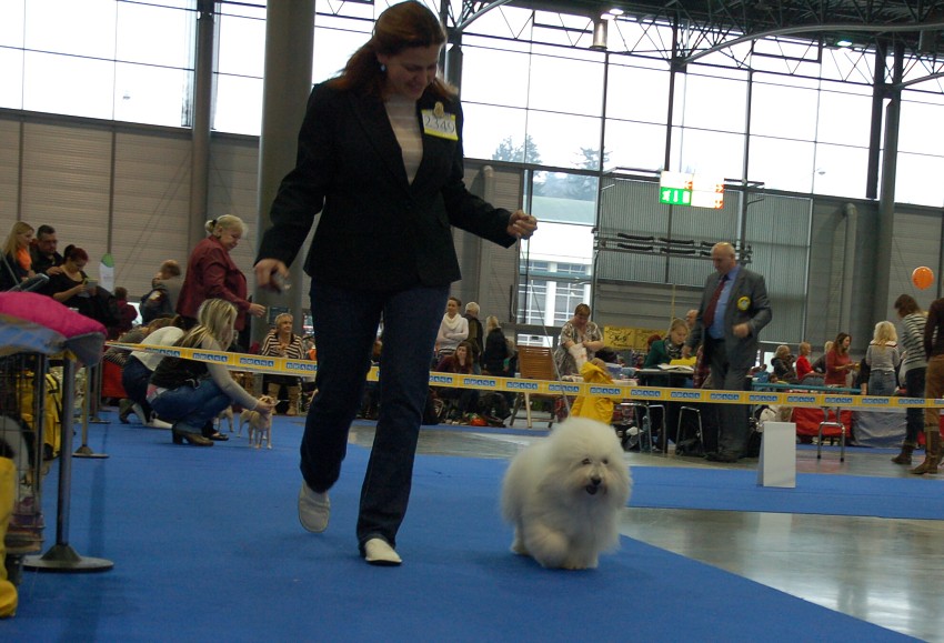 NVP Brno