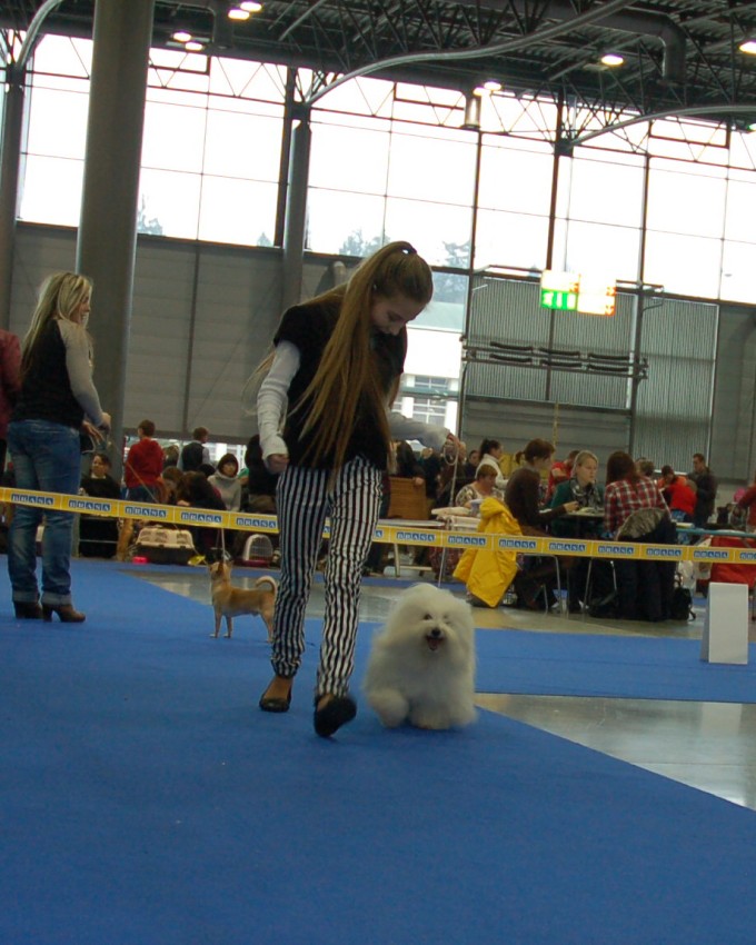 NVP Brno