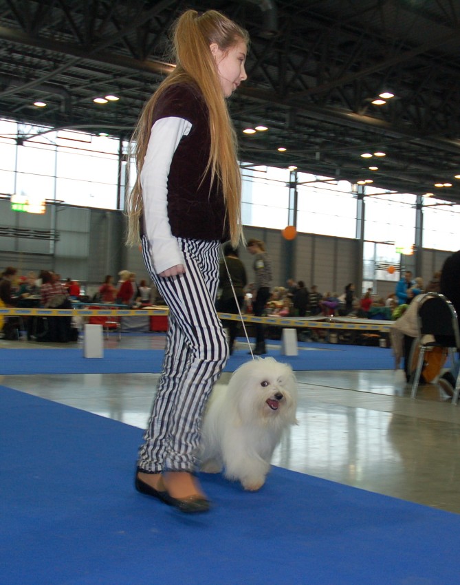 NVP Brno