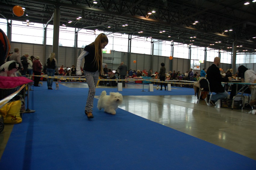 NVP Brno