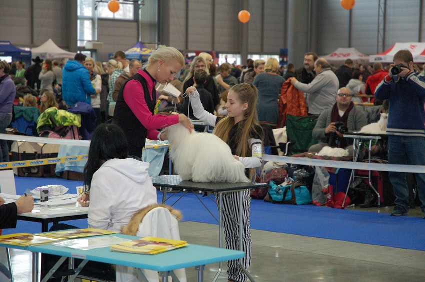 NVP Brno