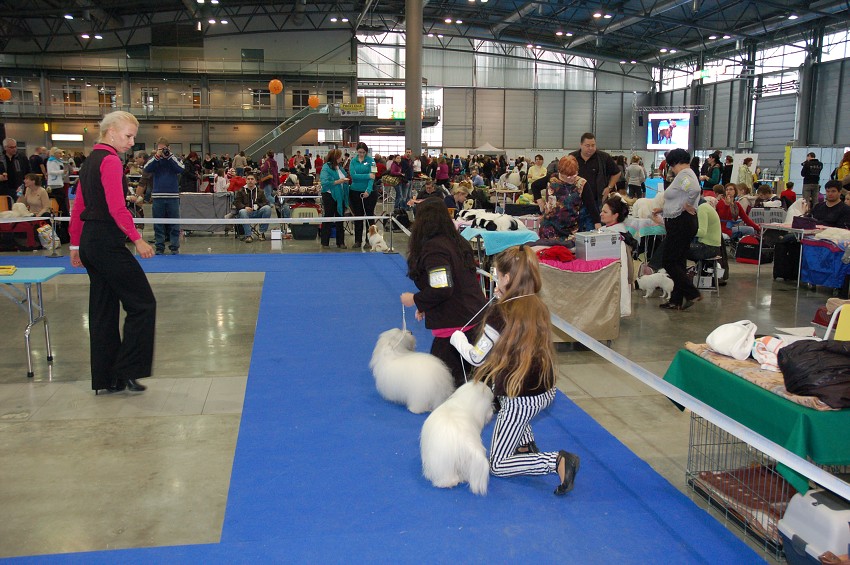 NVP Brno
