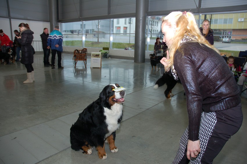 NVP Brno