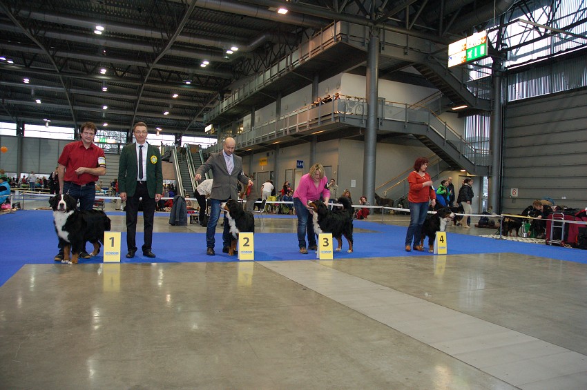 NVP Brno