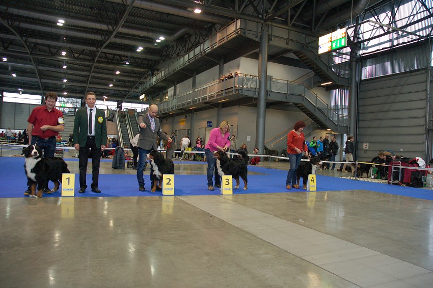 NVP Brno