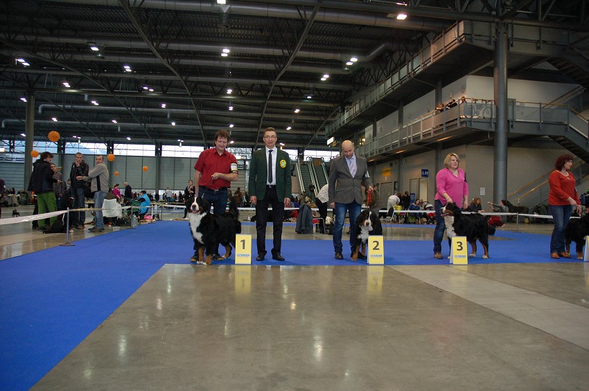 NVP Brno